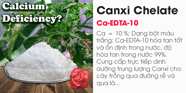 Canxi Chelate (Ca-EDTA-10) tan hoàn toàn trong nước